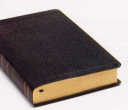 B2 KJV/Amplified Commentary Parallel Bible -- Black Bond Leather ...